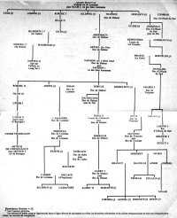 Arbre généalogique de Lyonesse